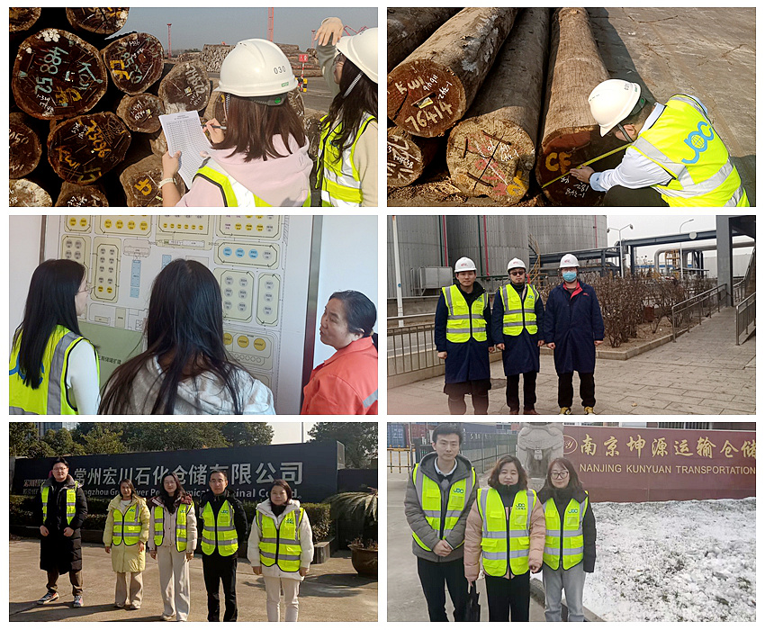 筑牢货权防线 护航合规发展—公司开展年终货物盘库工作